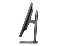 IIYAMA ProLite XUB3297QSNP-B1 - 1361888 - zdjęcie 3